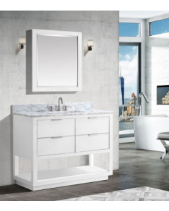 Avanity Allie (single) 43-Inch White Vanity Cabinet With Silver Trim - ALLIE-V42-WTS